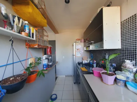 imagem 5 - Apartamentos - Padrão imagem 5 - Apartamentos - Padrão
