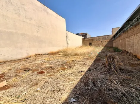 imagem 1 - Terreno misto para Venda no bairro Jardim América, em Ribeirão Preto imagem 1 - Terreno misto para Venda no bairro Jardim América, em Ribeirão Preto
