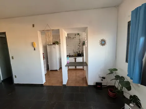 imagem 2 - Kitnet Padrão para Venda no Bairro Vila Monte Alegre, em Ribeirão Preto imagem 2 - Kitnet Padrão para Venda no Bairro Vila Monte Alegre, em Ribeirão Preto