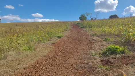 imagem 1 - Chácaras/Imóveis Rurais - RanchoSítio imagem 1 - Chácaras/Imóveis Rurais - RanchoSítio