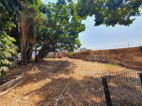 imagem 1 - Terreno misto para Locação e Venda no Bairro Jardim São Luiz, em Ribeirão Preto. imagem 1 - Terreno misto para Locação e Venda no Bairro Jardim São Luiz, em Ribeirão Preto.