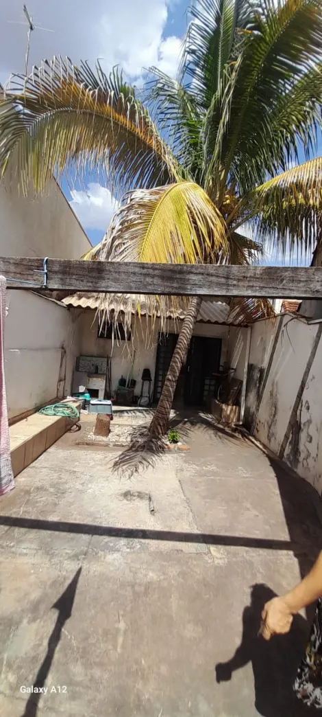 imagem 2 - Casa Padrão para Venda no Bairro Jardim Paulista, em Ribeirão Preto imagem 2 - Casa Padrão para Venda no Bairro Jardim Paulista, em Ribeirão Preto