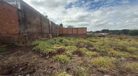 imagem 1 - Terreno para Venda no Bairro  Jardim Santa Genebra, em Bonfim Paulista imagem 1 - Terreno para Venda no Bairro  Jardim Santa Genebra, em Bonfim Paulista