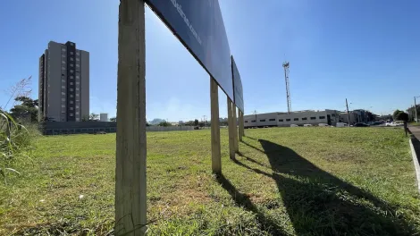 imagem 4 - Terreno Misto para Venda no Bairro Valentina Figueiredo, em Ribeirão Preto imagem 4 - Terreno Misto para Venda no Bairro Valentina Figueiredo, em Ribeirão Preto