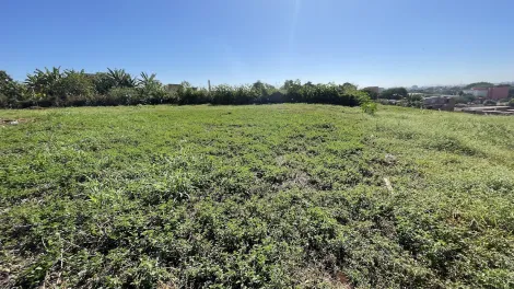 imagem 2 - Terreno Misto para Venda no Bairro Ipiranga, em Ribeirão Preto SP imagem 2 - Terreno Misto para Venda no Bairro Ipiranga, em Ribeirão Preto SP