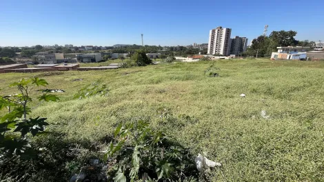 imagem 3 - Terreno Misto para Venda no Bairro Ipiranga, em Ribeirão Preto SP imagem 3 - Terreno Misto para Venda no Bairro Ipiranga, em Ribeirão Preto SP