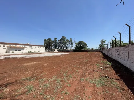 imagem 5 - Terreno Misto para Venda no Bairro Jardim Aeroporto, em Ribeirão Preto SP imagem 5 - Terreno Misto para Venda no Bairro Jardim Aeroporto, em Ribeirão Preto SP
