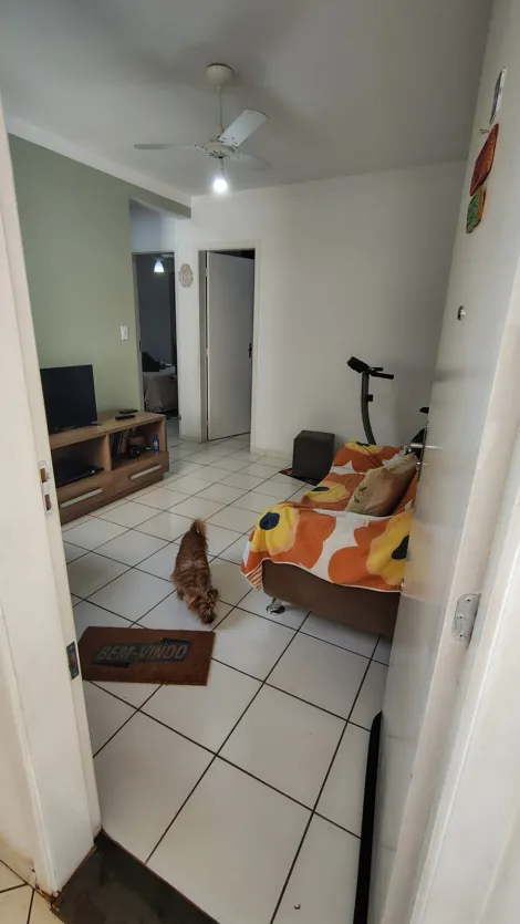 imagem 1 - Apartamentos - Padrão imagem 1 - Apartamentos - Padrão
