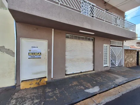 imagem 1 - Edícula para locação no bairro Jardim Antártica, em Ribeirão Preto imagem 1 - Edícula para locação no bairro Jardim Antártica, em Ribeirão Preto