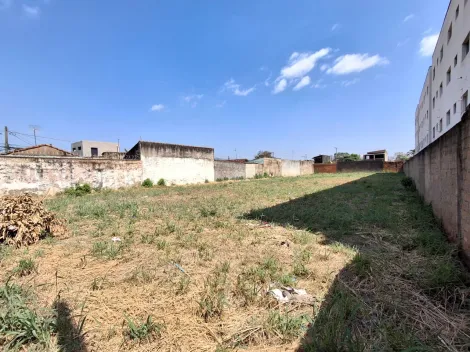 imagem 2 - Terreno para Venda no Bairro Ipiranga em Ribeirão Preto/SP. imagem 2 - Terreno para Venda no Bairro Ipiranga em Ribeirão Preto/SP.