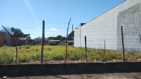 imagem 3 - Terreno Misto para Locação e Venda no Bairro Campos Elíseos, em Ribeirão Preto SP imagem 3 - Terreno Misto para Locação e Venda no Bairro Campos Elíseos, em Ribeirão Preto SP