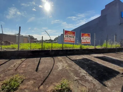 imagem 4 - Terreno Misto para Locação e Venda no Bairro Campos Elíseos, em Ribeirão Preto SP imagem 4 - Terreno Misto para Locação e Venda no Bairro Campos Elíseos, em Ribeirão Preto SP