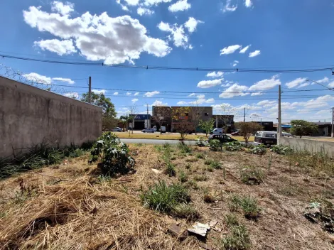 imagem 4 - Terreno Misto para Locação e Venda no Bairro Jardim Cristo Redentor, em Ribeirão Preto SP imagem 4 - Terreno Misto para Locação e Venda no Bairro Jardim Cristo Redentor, em Ribeirão Preto SP