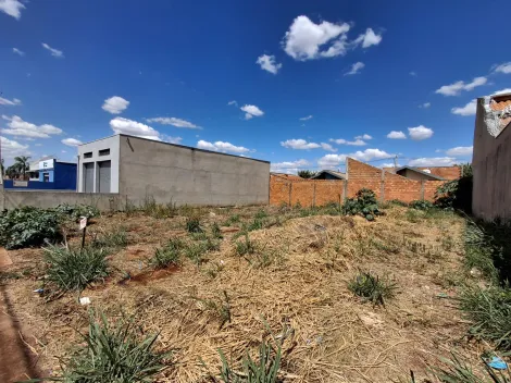 imagem 1 - Terreno Misto para Locação e Venda no Bairro Jardim Cristo Redentor, em Ribeirão Preto SP imagem 1 - Terreno Misto para Locação e Venda no Bairro Jardim Cristo Redentor, em Ribeirão Preto SP