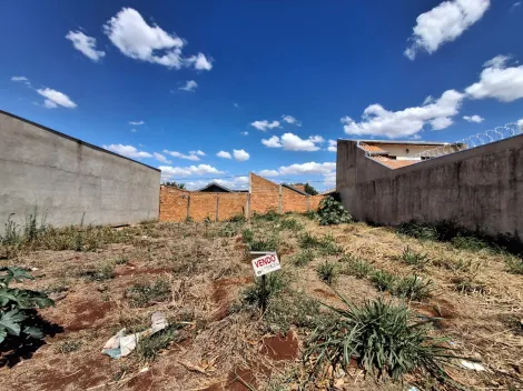 imagem 2 - Terreno Misto para Locação e Venda no Bairro Jardim Cristo Redentor, em Ribeirão Preto SP imagem 2 - Terreno Misto para Locação e Venda no Bairro Jardim Cristo Redentor, em Ribeirão Preto SP