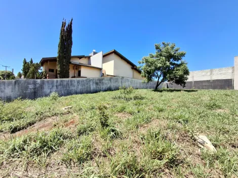 imagem 2 - Terreno misto para Venda no Bairro City Ribeirão, em Ribeirão Preto imagem 2 - Terreno misto para Venda no Bairro City Ribeirão, em Ribeirão Preto