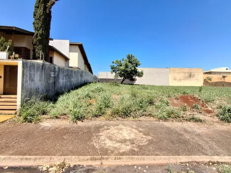 imagem 1 - Terreno misto para Venda no Bairro City Ribeirão, em Ribeirão Preto imagem 1 - Terreno misto para Venda no Bairro City Ribeirão, em Ribeirão Preto