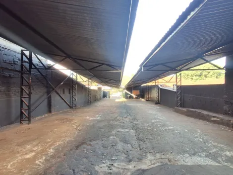 imagem 4 - Salão Comercial para Locação no Bairro Santa Cruz do José Jacques, em Ribeirão Preto imagem 4 - Salão Comercial para Locação no Bairro Santa Cruz do José Jacques, em Ribeirão Preto