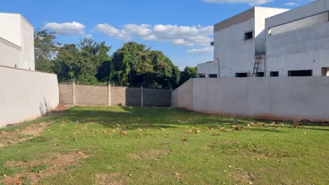 imagem 2 - Terreno Padrão para Venda no Condominío Alphaville I, em Ribeirão Preto/SP imagem 2 - Terreno Padrão para Venda no Condominío Alphaville I, em Ribeirão Preto/SP