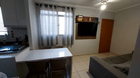 imagem 1 - Apartamentos - Padrão imagem 1 - Apartamentos - Padrão
