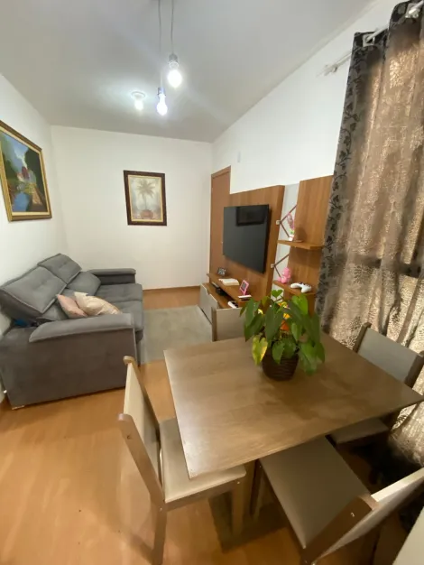 imagem 3 - Apartamentos - Padrão imagem 3 - Apartamentos - Padrão