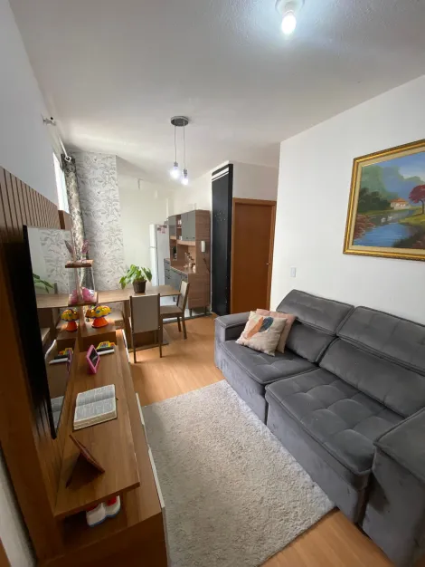 imagem 5 - Apartamentos - Padrão imagem 5 - Apartamentos - Padrão