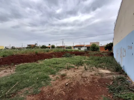 imagem 3 - Terreno misto para Venda no Bairro Jardim Cristo Redentor, em Ribeirão Preto/SP. imagem 3 - Terreno misto para Venda no Bairro Jardim Cristo Redentor, em Ribeirão Preto/SP.